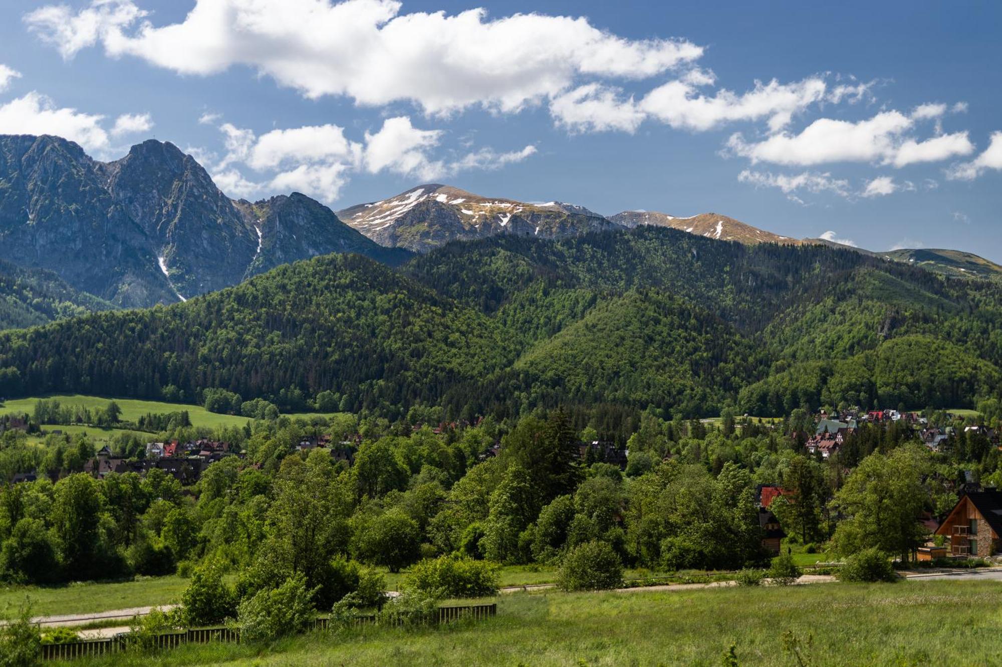 Ijg Imperial Apartamenty Szymaszkowa Zakopane Exteriör bild